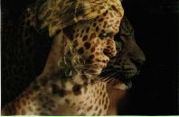 Фотография Голубевой Анастасии