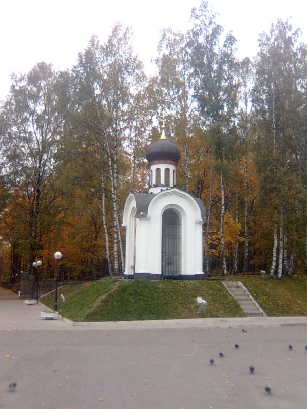 Эдуард Сергеев фотография #8