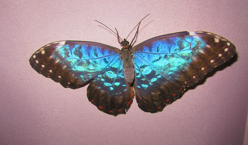 Ольга Гребенникова фотография #28