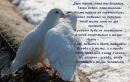 Фотография Антушевой Марины