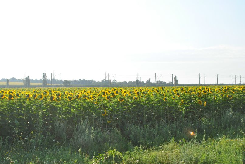 Антон Шпак фотография #25