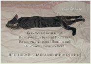 Фотография Фаррахова Айдара