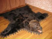 Фотография Мухаметшина Венера