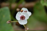 Фотография Бороды Марины