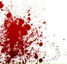 Фотография Алексеенко Кристины