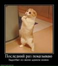 Влад Заплітний фотография #12 (источник - https://vk.com/id132173278)