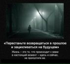 Дмитрий Шанин фотография #27 (источник - https://vk.com/id578933)