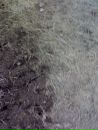Ігорь Матьовка фотография #19 (источник - https://vk.com/id132856184)