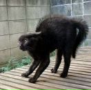 Фотография Новиковой Дарьи