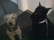 Фотография Павловой Светланы