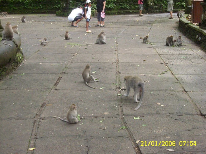 Viktor Ivanov фотография #32