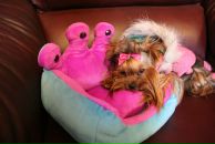 Фотография Куницыной Екатерины