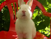 Мур Зик фотография #11 (источник - https://vk.com/id136028038)