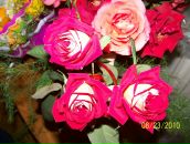 Іра Луцак фотография #13 (источник - https://vk.com/id95059794)