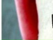 Марішта Боровська фотография #8 (источник - https://vk.com/id123799628)