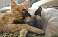 Фотография Сухих Людмилы