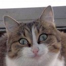 Фотография Батьковича Алексея