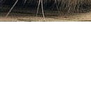 Ірина Пасічник фотография #39 (источник - https://vk.com/id89136098)