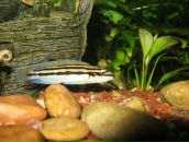 Андрій Ордаш фотография #6 (источник - https://vk.com/id28930375)