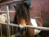 Фотография Прокофьева Александра