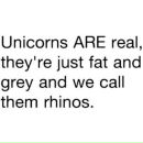 Tanya Ashikhmina фотография #14 (источник - https://vk.com/id8914107)