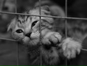 Фотография Головко Юлии