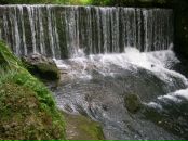 Фотография Пойминовой Елены