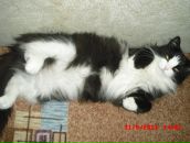 Сергей Степанян фотография #33 (источник - https://vk.com/id3771185)