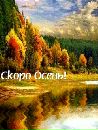Міша Ковальчук фотография #25 (источник - https://vk.com/id65686995)