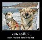 Фотография Koccob Gregor