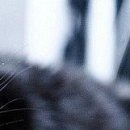 Dетk☼ ツ фотография #4 (источник - https://vk.com/id152994176)