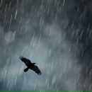 Фотография Шангина Михаила