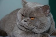 Фотография Санникова Юры