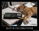 Фотография Кузнецовой Анны