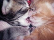 Фотография Кузнецовой Татьяны