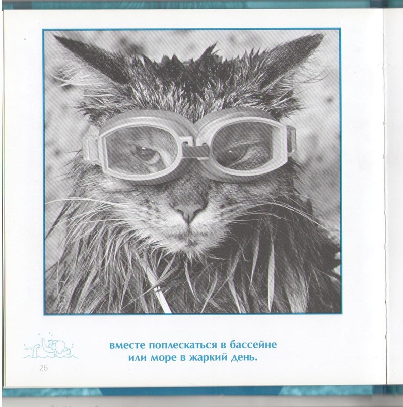 Роман Сербененко фотография #35