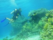 Фотография Курбатова Виктора