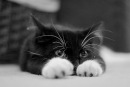 Фотография Смирновой Татьяны