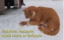 Фотография Усманова Салавата