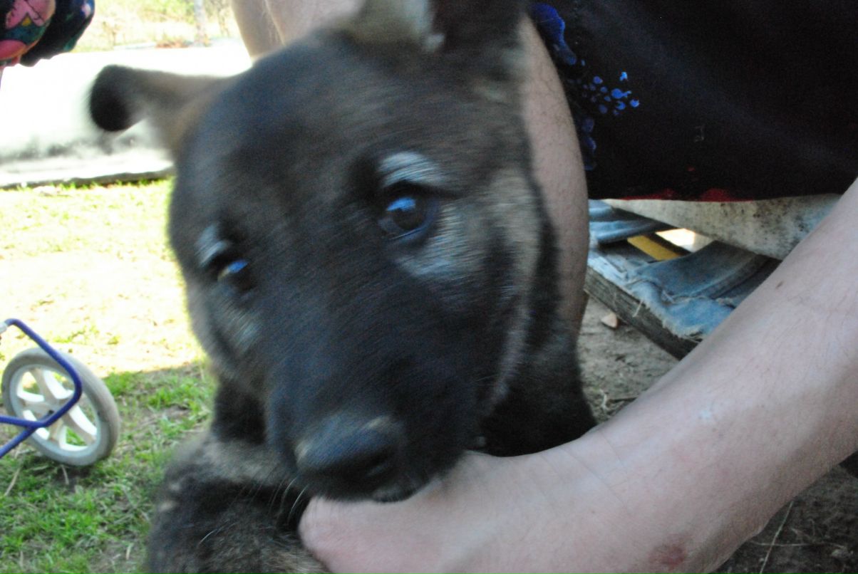 Юрий Сандырев фотография #48