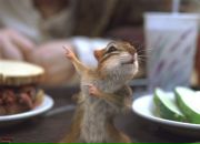 Фотография Гусева Евгения