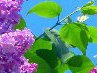 Ліда Мартинчик фотография #37 (источник - https://vk.com/id88815608)