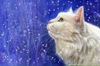 Фотография Лобанова Александра