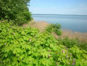 Ігор Розумний фотография #14 (источник - https://vk.com/id41762255)