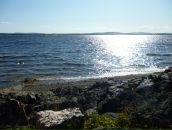 Фотография Гордеевой Татьяны