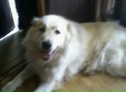 Наталія Гур'янова фотография #12 (источник - https://vk.com/id30916353)