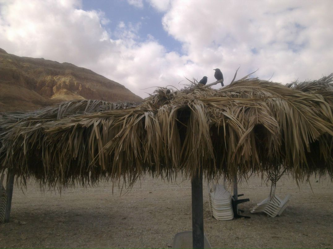 Tg Tu фотография #47