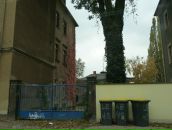 Адріан Продан фотография #30 (источник - https://vk.com/id11792970)