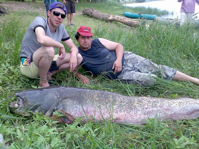 Сергей Тараскин фотография #46