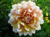 Іра Рудник фотография #35 (источник - https://vk.com/id214150905)